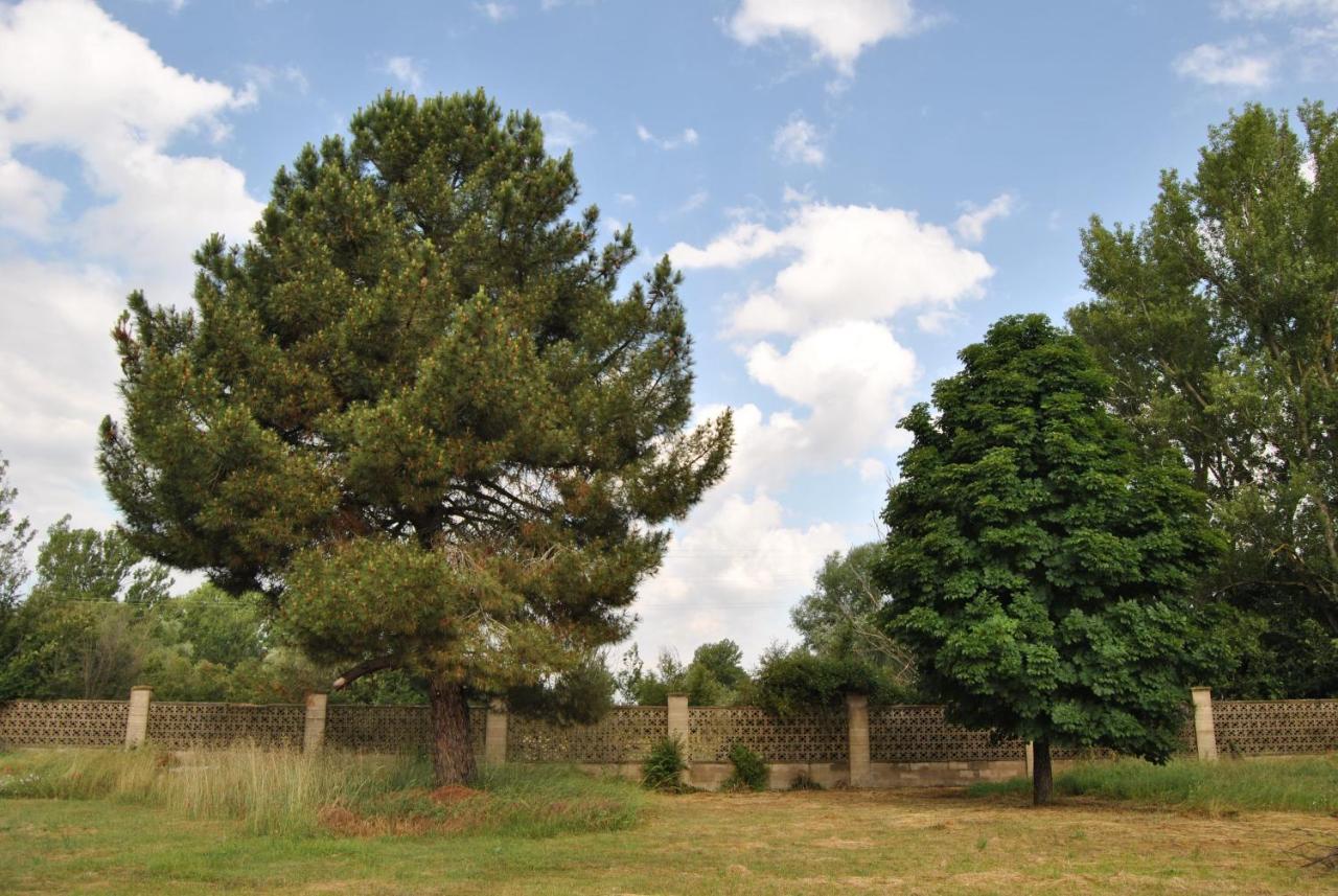 Finca Arroyo Del Valle San Andrés del Rabanedo Zewnętrze zdjęcie